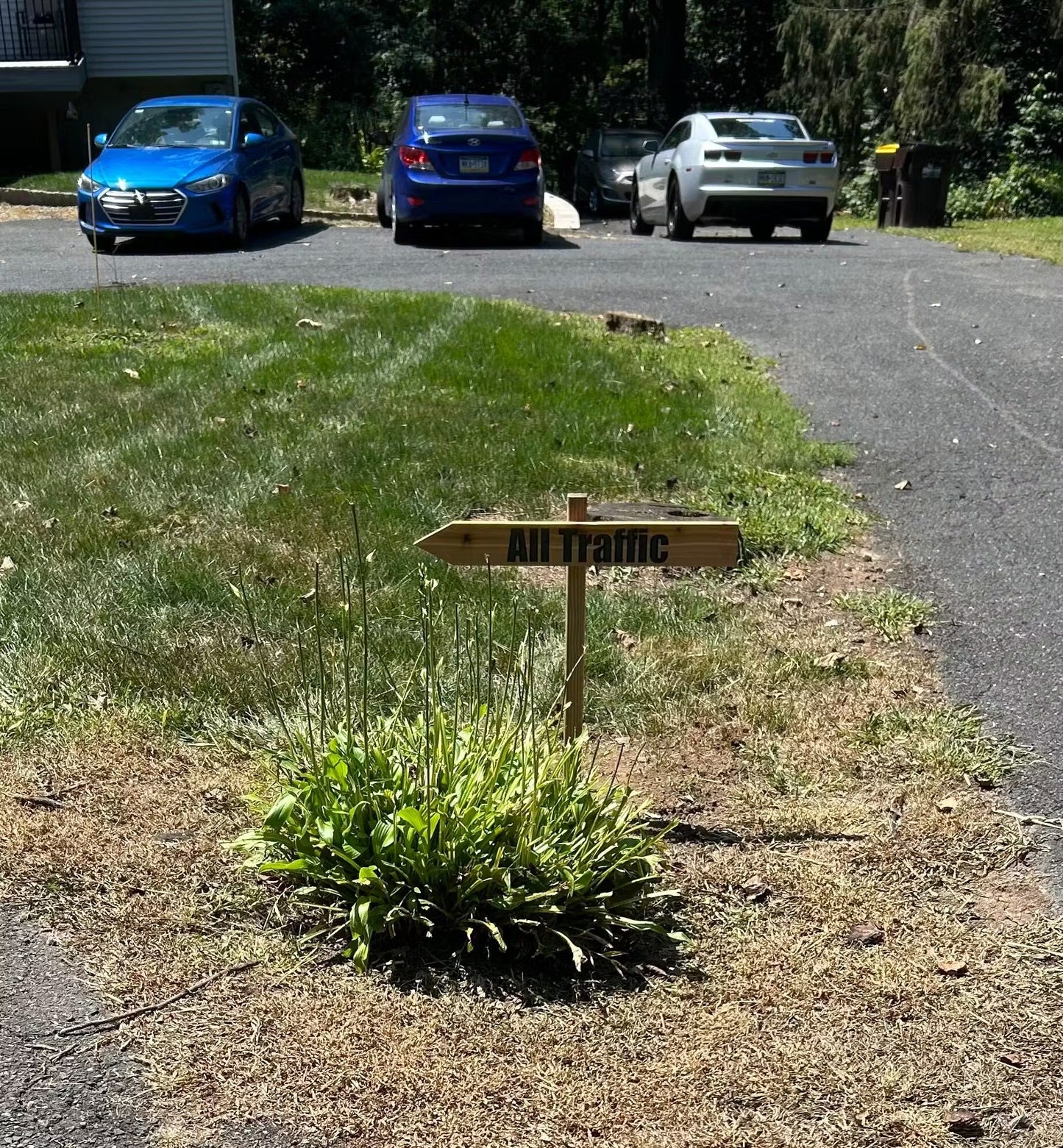 custom arrow made from wood with reflective lettering