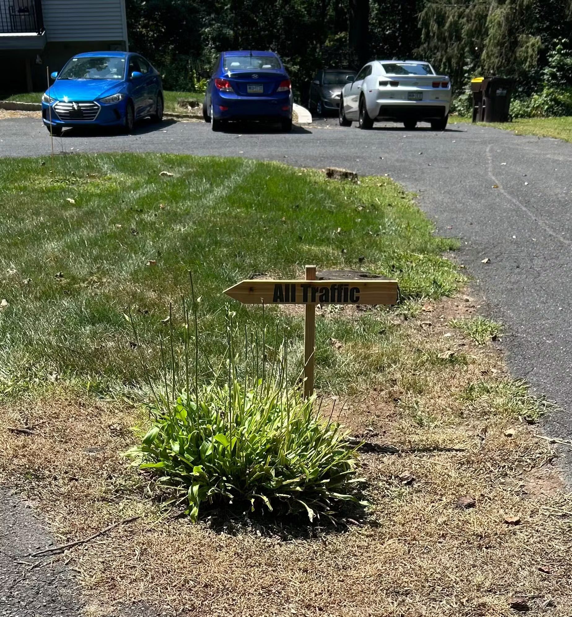 custom arrow made from wood with reflective lettering