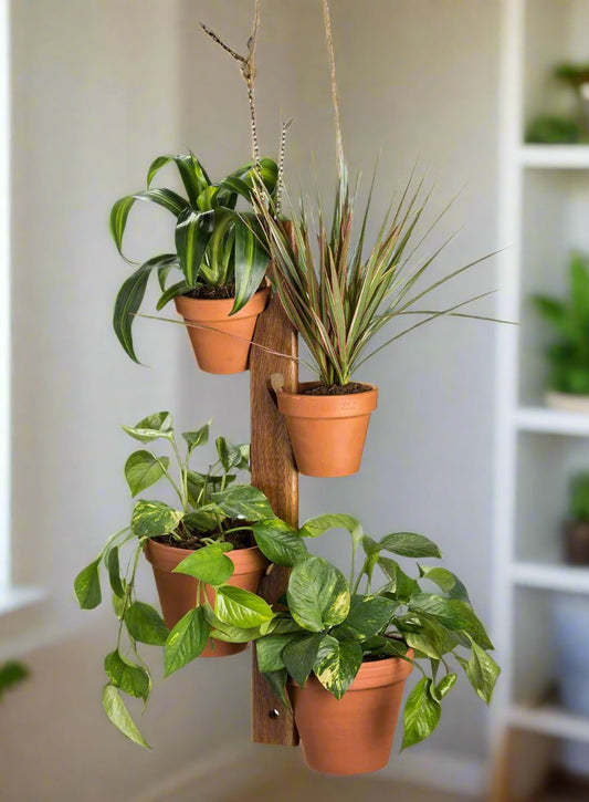 6 Pot Hanging Plant Holder - 3 piece set - Hooyah Woodworks LLC