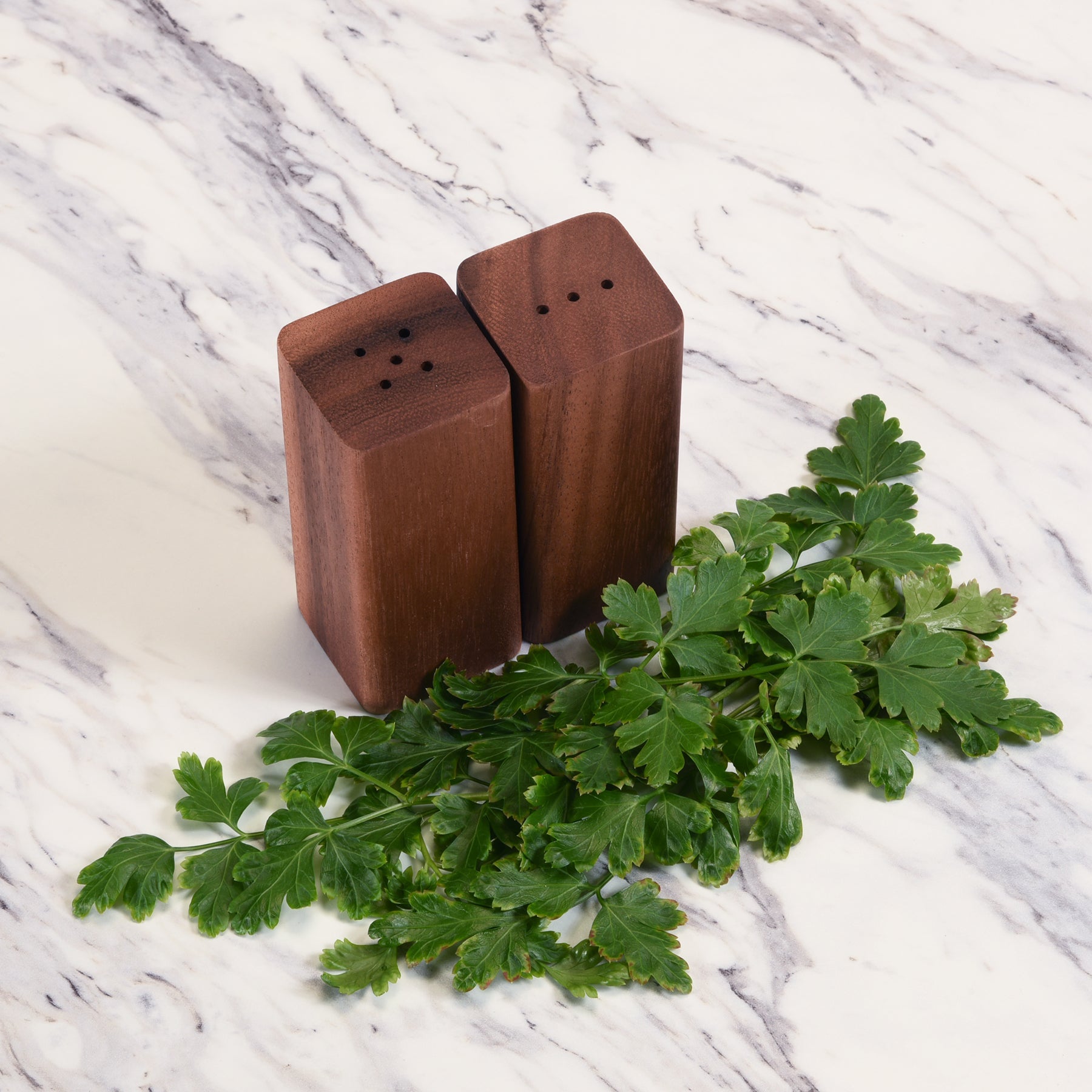 Salt & Pepper Shakers on an Acacia Wood Base - Hooyah Woodworks LLC