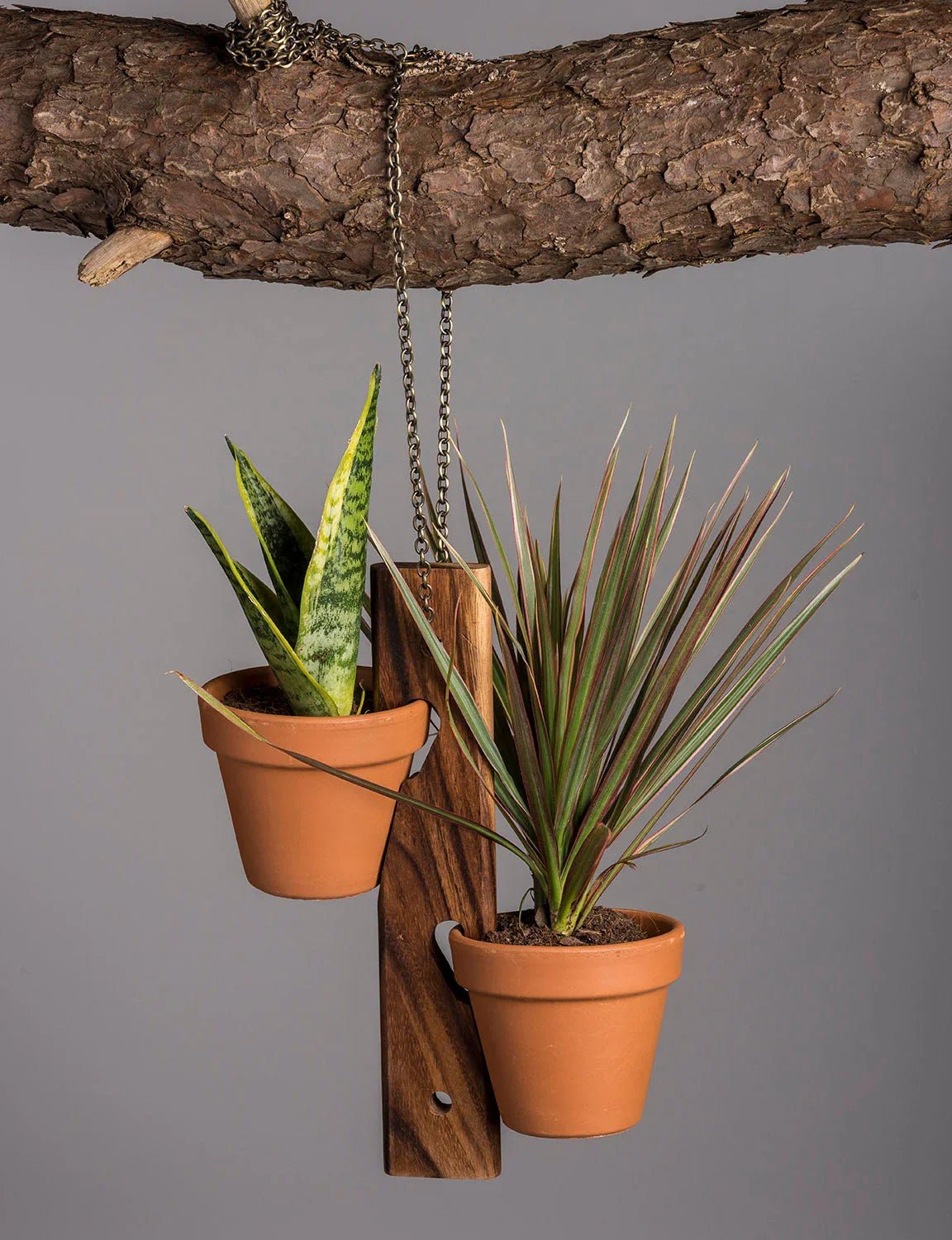 6 Pot Hanging Plant Holder - 3 piece set - Hooyah Woodworks LLC