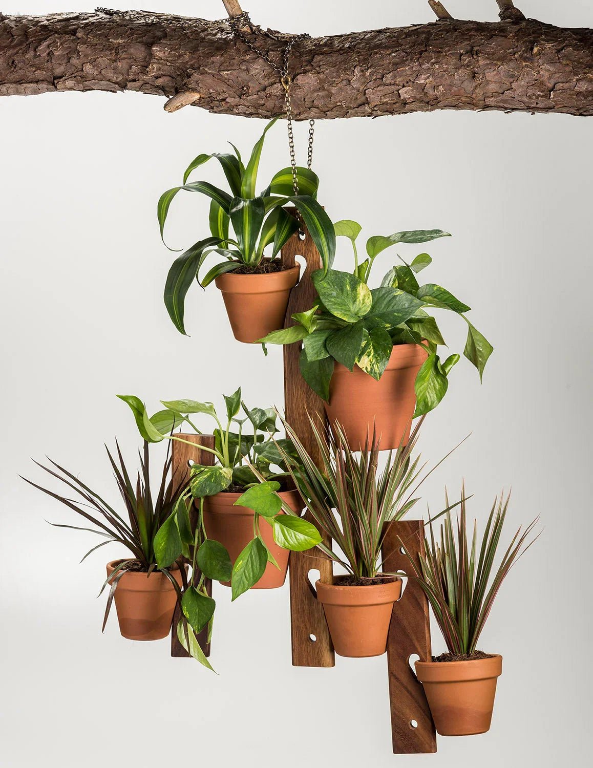 6 Pot Hanging Plant Holder - 3 piece set - Hooyah Woodworks LLC
