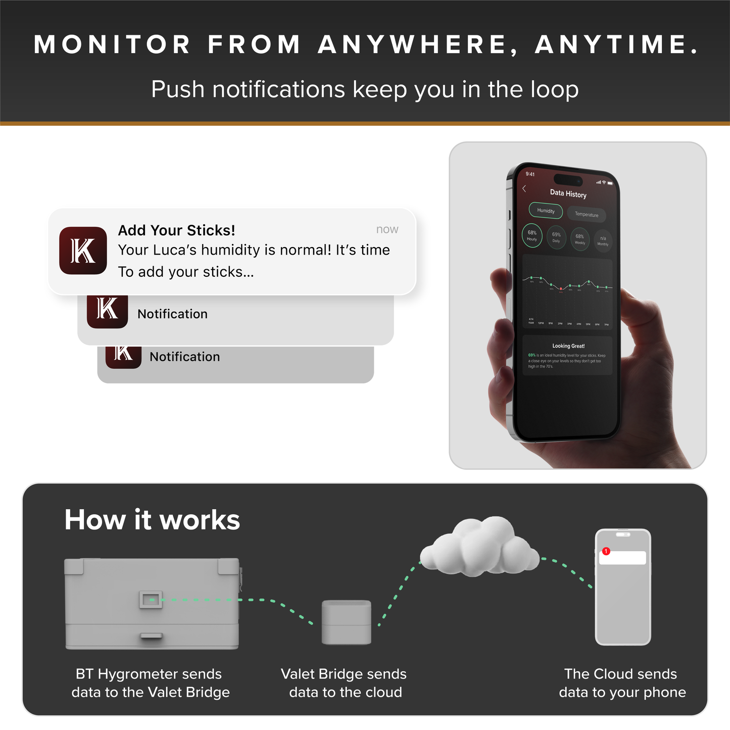 Smart device monitoring system with app notifications and cloud connectivity diagram.
