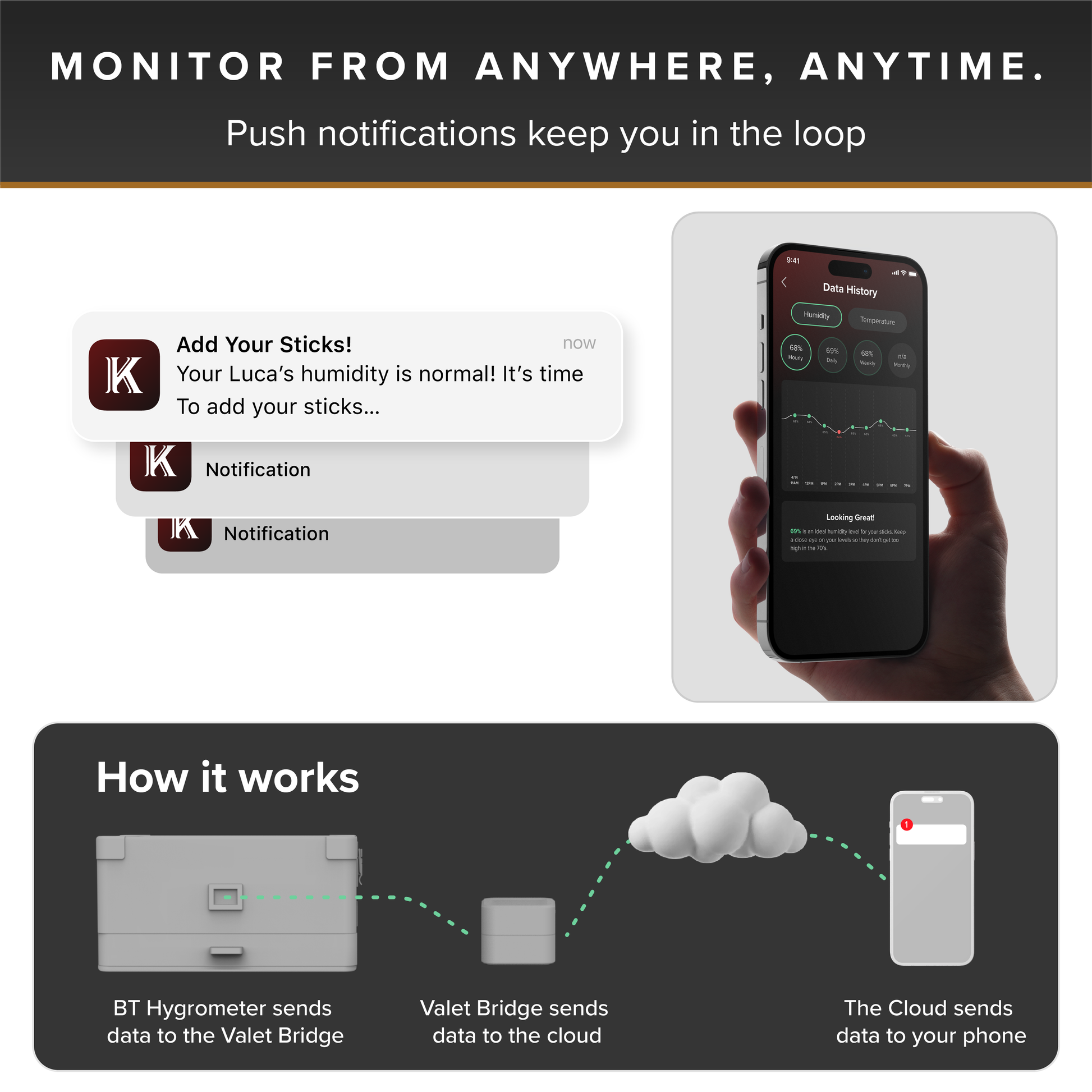 Smart device monitoring system with app notifications and cloud connectivity diagram.