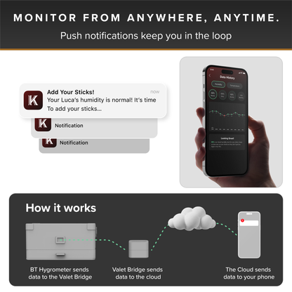 Smart device monitoring system with app notifications and cloud connectivity diagram.