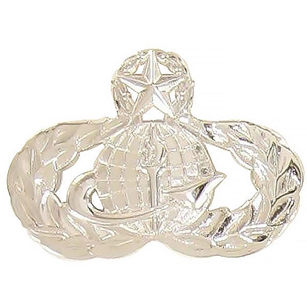 Air Force Badge: Force Support: Master - regulation size - Hooyah Woodworks LLC