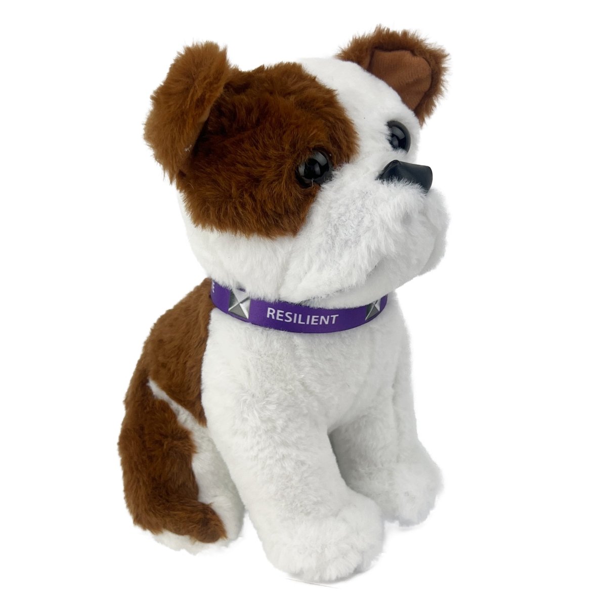 Marine Corps Military Brat PFC Pup 10