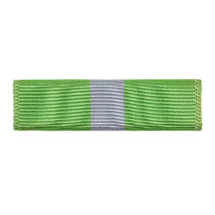 Ribbon Unit: Coast Guard Auxiliary Flotilla Member Training Achievement - Hooyah Woodworks LLC